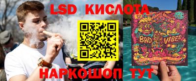 гидра Гусев