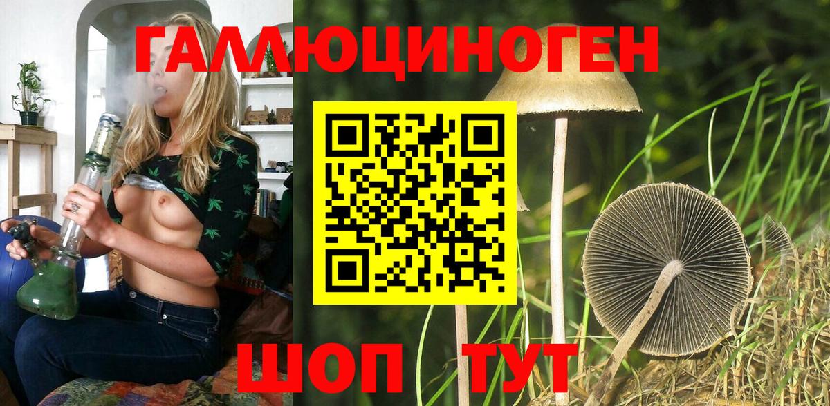 Зеленогорск  Псилоцибиновые грибы Psilocybe  Вход с VPN 
